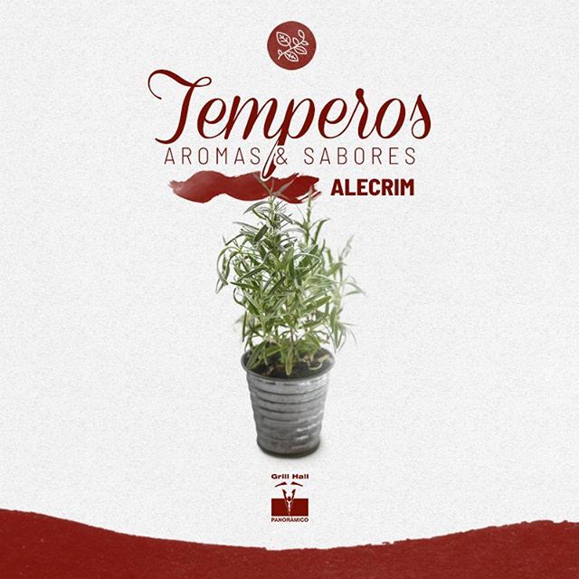 <p>?Temperos: Aromas e sabores?<br />
?<br />
O Alecrim é conhecido por seu perfume marcante e agradável. Pode ser utilizado em diversos pratos, entre eles, o churrasco. O sabor forte do alecrim equilibra as carnes de sabor marcante, ele também é usado em marinadas e combina muito bem com o alho.?<br />
?<br />
#EuNoGrillHallPanorâmico #eunogrillhall #ChurrascoTodoDia #temepros #aromas #sabores #alecrim</p>
